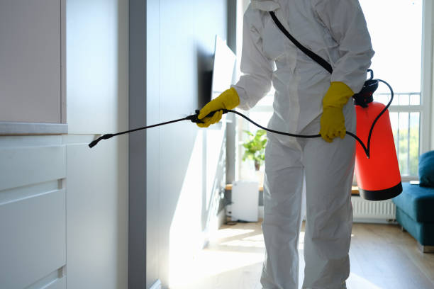 Best Certified Mold Removal  in Los Osos, CA
