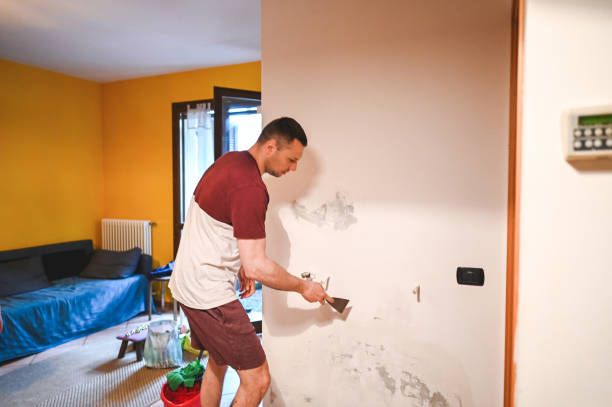 Best Professional Mold Removal  in Los Osos, CA